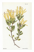  no thumbnail available