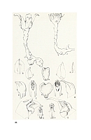  no thumbnail available