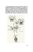  no thumbnail available