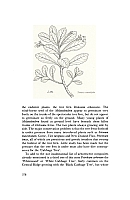  no thumbnail available