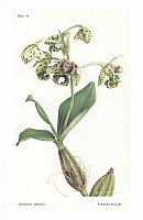  no thumbnail available