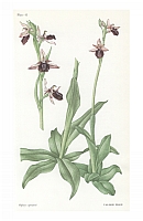  no thumbnail available