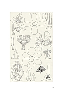  no thumbnail available