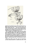  no thumbnail available