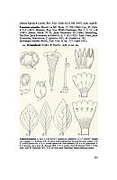  no thumbnail available