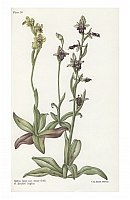  no thumbnail available