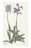  no thumbnail available