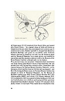  no thumbnail available