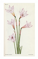  no thumbnail available