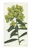  no thumbnail available