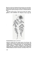  no thumbnail available