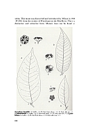  no thumbnail available