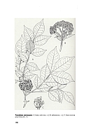  no thumbnail available