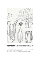  no thumbnail available