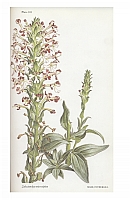  no thumbnail available