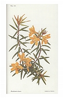  no thumbnail available