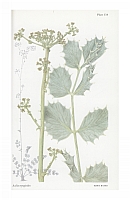  no thumbnail available