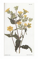  no thumbnail available