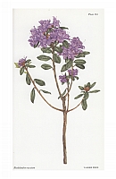  no thumbnail available