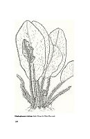  no thumbnail available