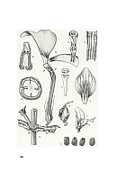  no thumbnail available