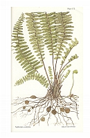  no thumbnail available