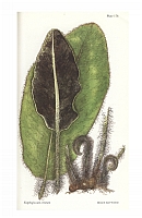  no thumbnail available