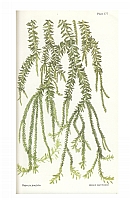  no thumbnail available