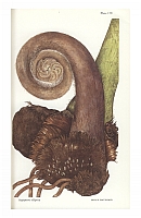  no thumbnail available