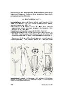  no thumbnail available