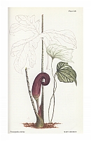  no thumbnail available