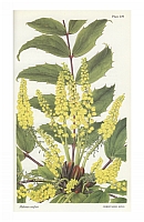  no thumbnail available