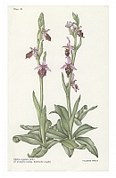  no thumbnail available