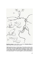  no thumbnail available