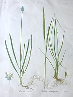  no thumbnail available