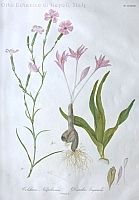  no thumbnail available