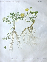  no thumbnail available