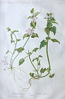  no thumbnail available