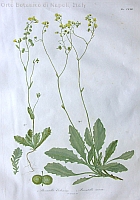  no thumbnail available