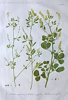  no thumbnail available