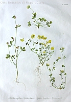  no thumbnail available