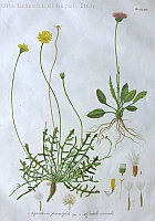  no thumbnail available