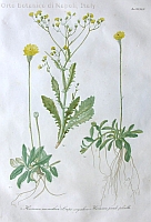  no thumbnail available