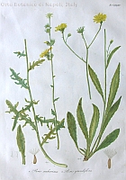  no thumbnail available