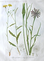  no thumbnail available