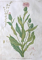  no thumbnail available