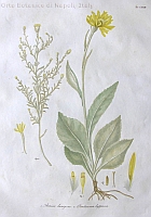  no thumbnail available