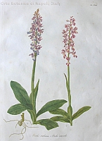  no thumbnail available