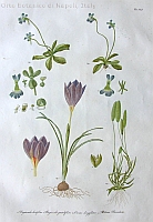  no thumbnail available