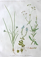  no thumbnail available